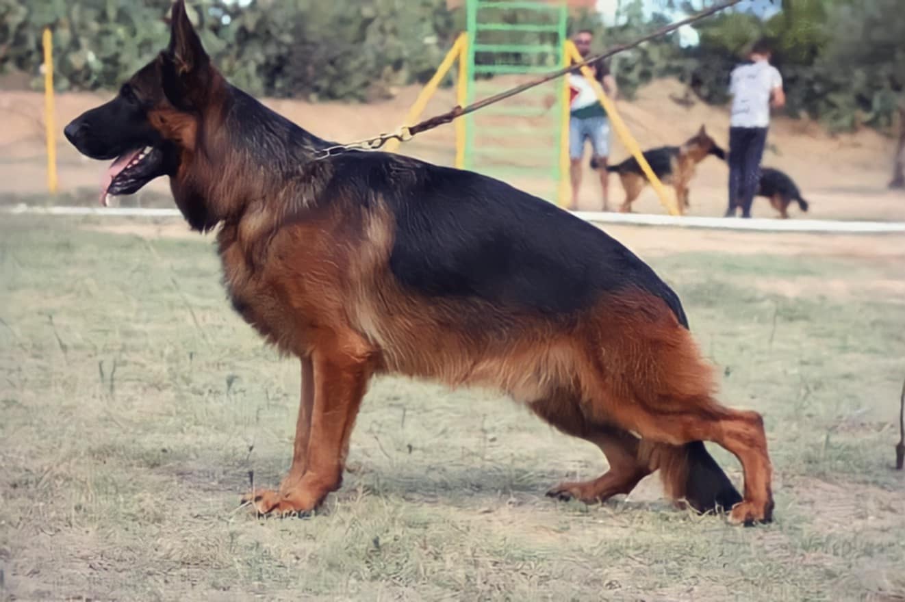 Isko Parc des Legendes