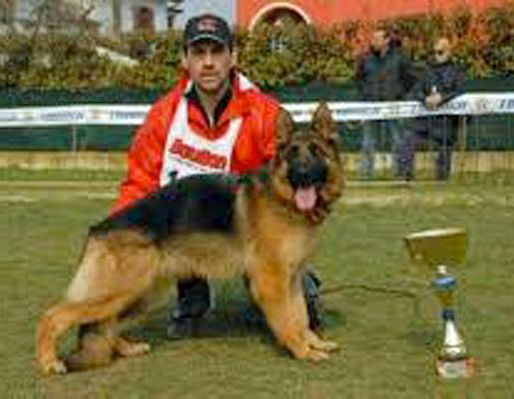 Desy dell Isola d´Adda