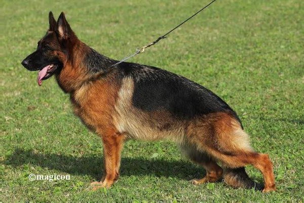 Helen della Bocca del Vesuvio