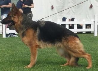 Giorgia di Santa Venere